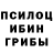 Галлюциногенные грибы Cubensis Tinacris Cris