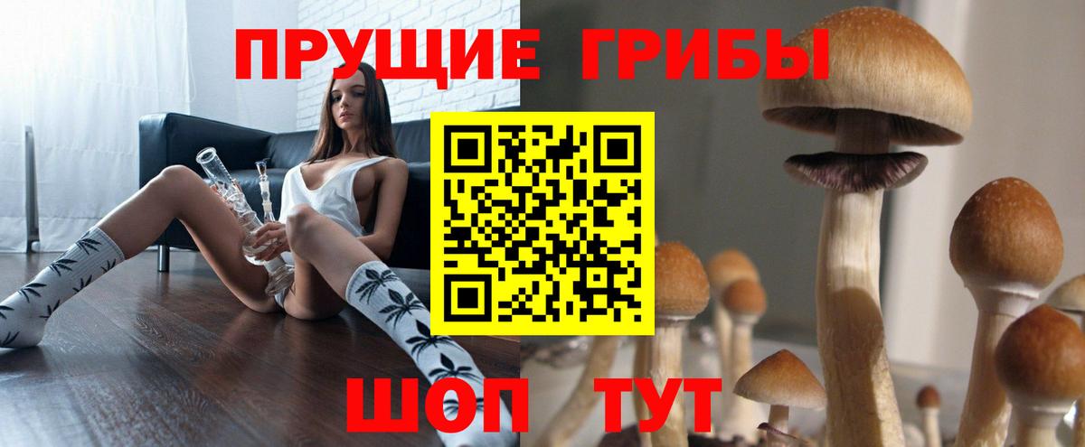 Реж  Галлюциногенные грибы Psilocybine cubensis  сколько стоит  Вход с VPN 