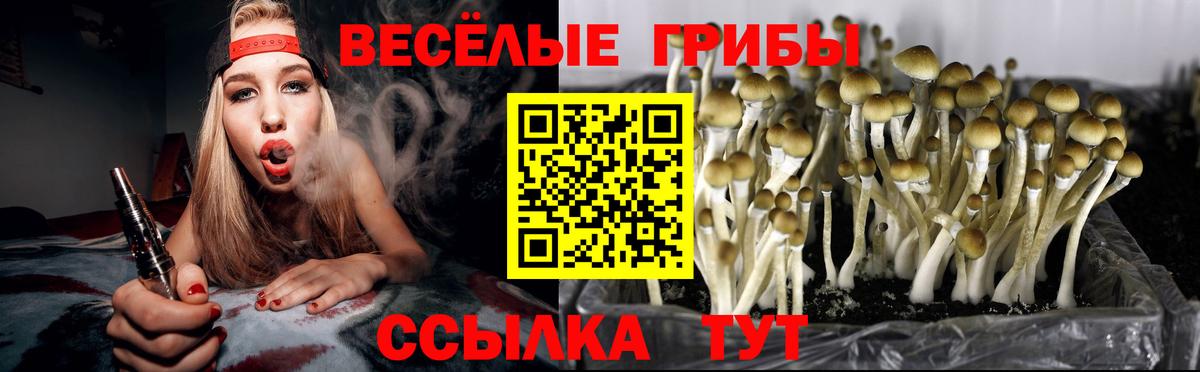 Галлюциногенные грибы Psilocybine cubensis Реж